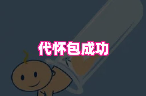 swisee孕网 2