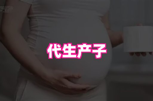 swisee孕网 4